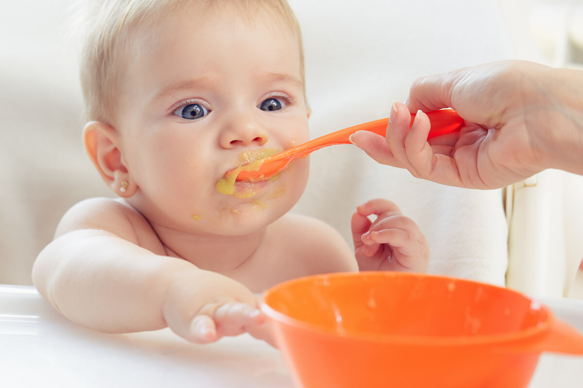 Silla de comer para los bebés al comer sólidos - Contenidos