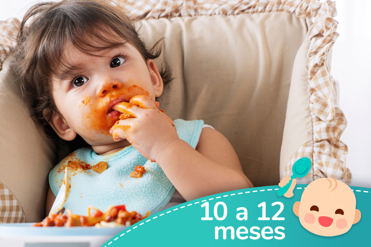 Sin Molesto amenazar Recetas para bebés de 10 a 12 meses - Recetas para mi bebé