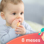 Bebé de 8 meses