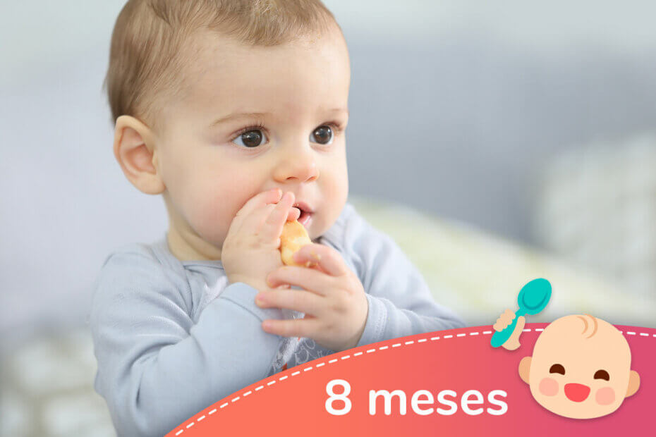 parálisis Línea del sitio Eh Menú semanal para bebés de 8 meses - Recetas para mi bebé