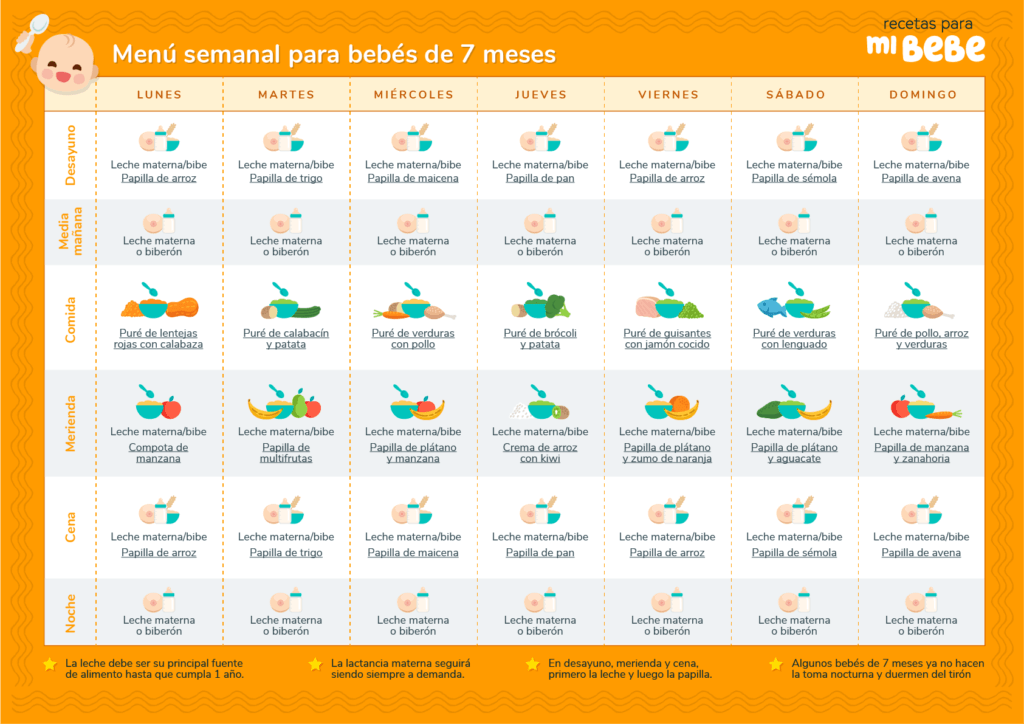 Cuantas comidas hace un bebé de 7 meses