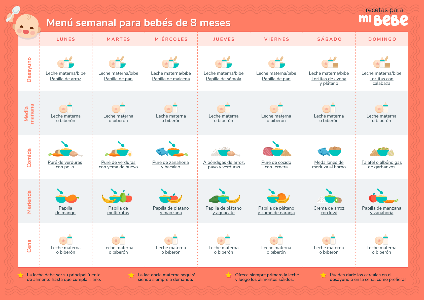 Desarmado Consultar Personas mayores Menú semanal para bebés de 8 meses - Recetas para mi bebé