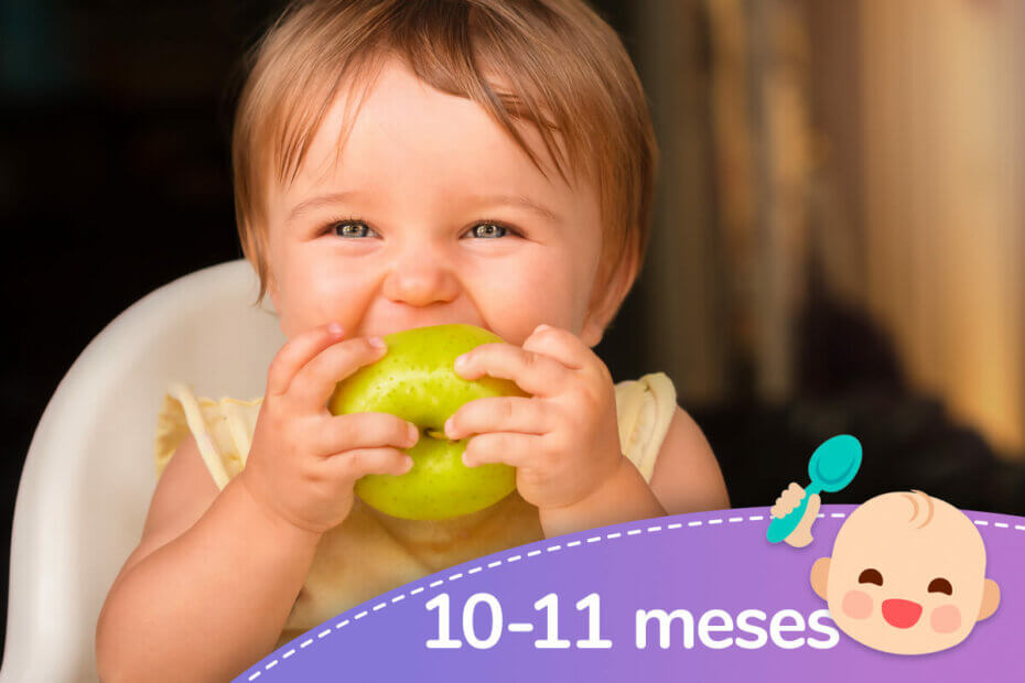 Maquinilla de afeitar Abandonado lengua Menú semanal para bebés de 10 y 11 meses - Recetas para mi bebé