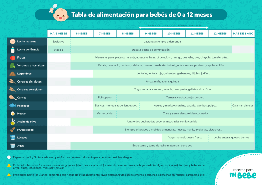 va a decidir Hula hoop tablero Menú semanal para bebés de 7 meses con recetas