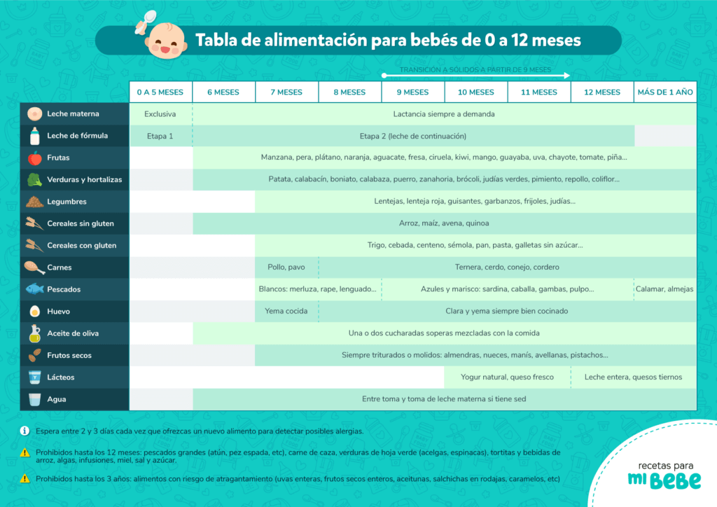 Desarmado Consultar Personas mayores Menú semanal para bebés de 8 meses - Recetas para mi bebé