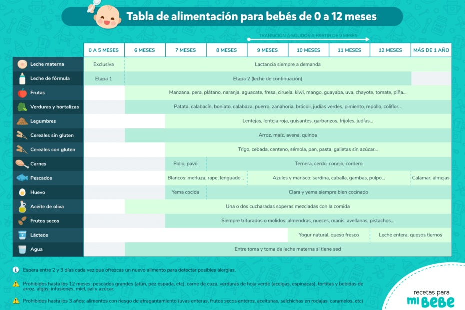 Tabla de alimentación para bebés de 0 a 12 meses