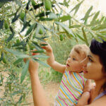 Beneficios del aceite de oliva para bebés