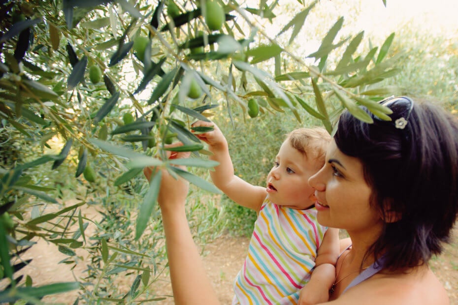 Beneficios del aceite de oliva para bebés