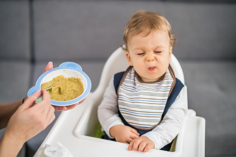 Bebé pone mala cara a un plato con puré