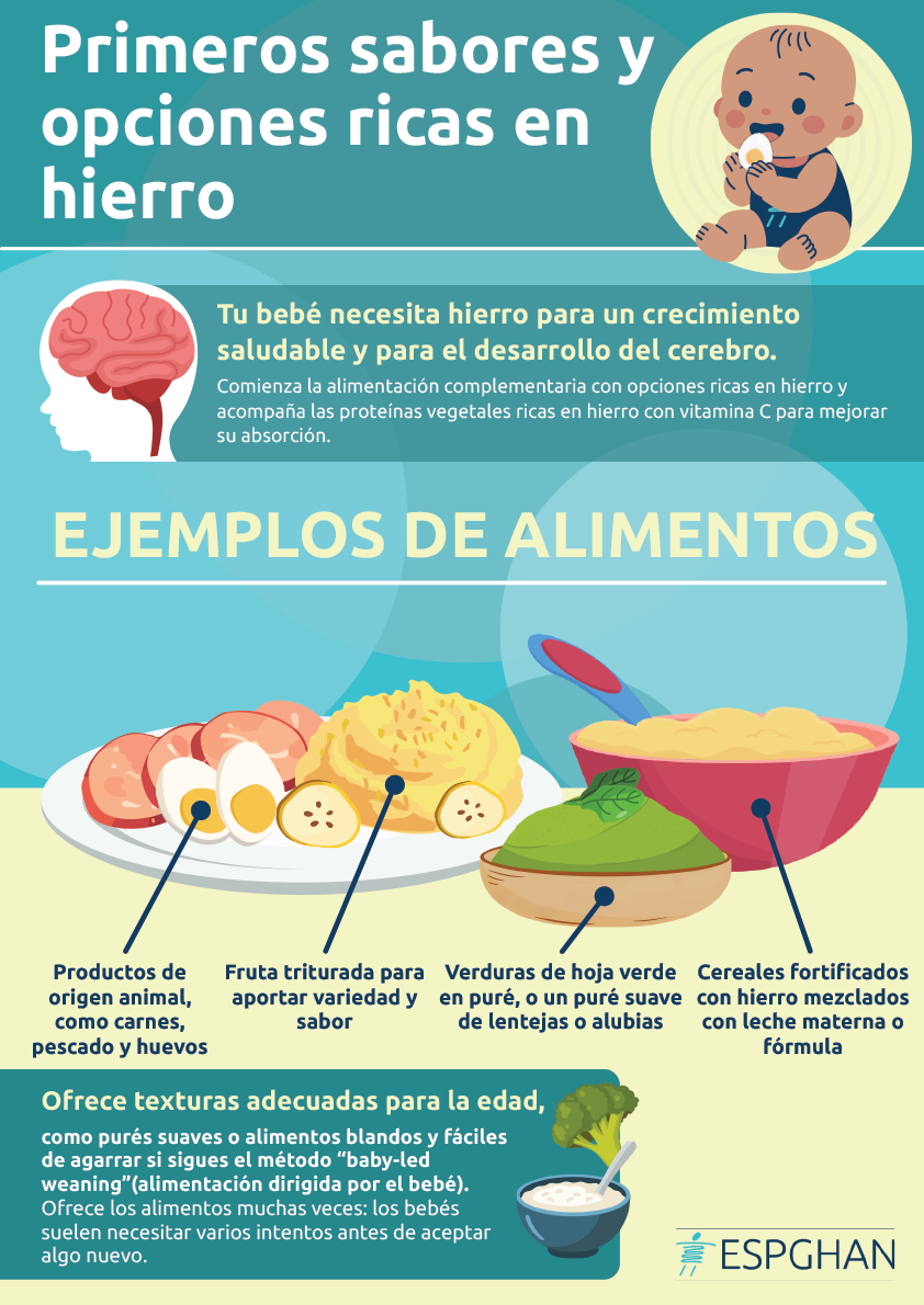 Primeros sabores y opciones ricas en hierro