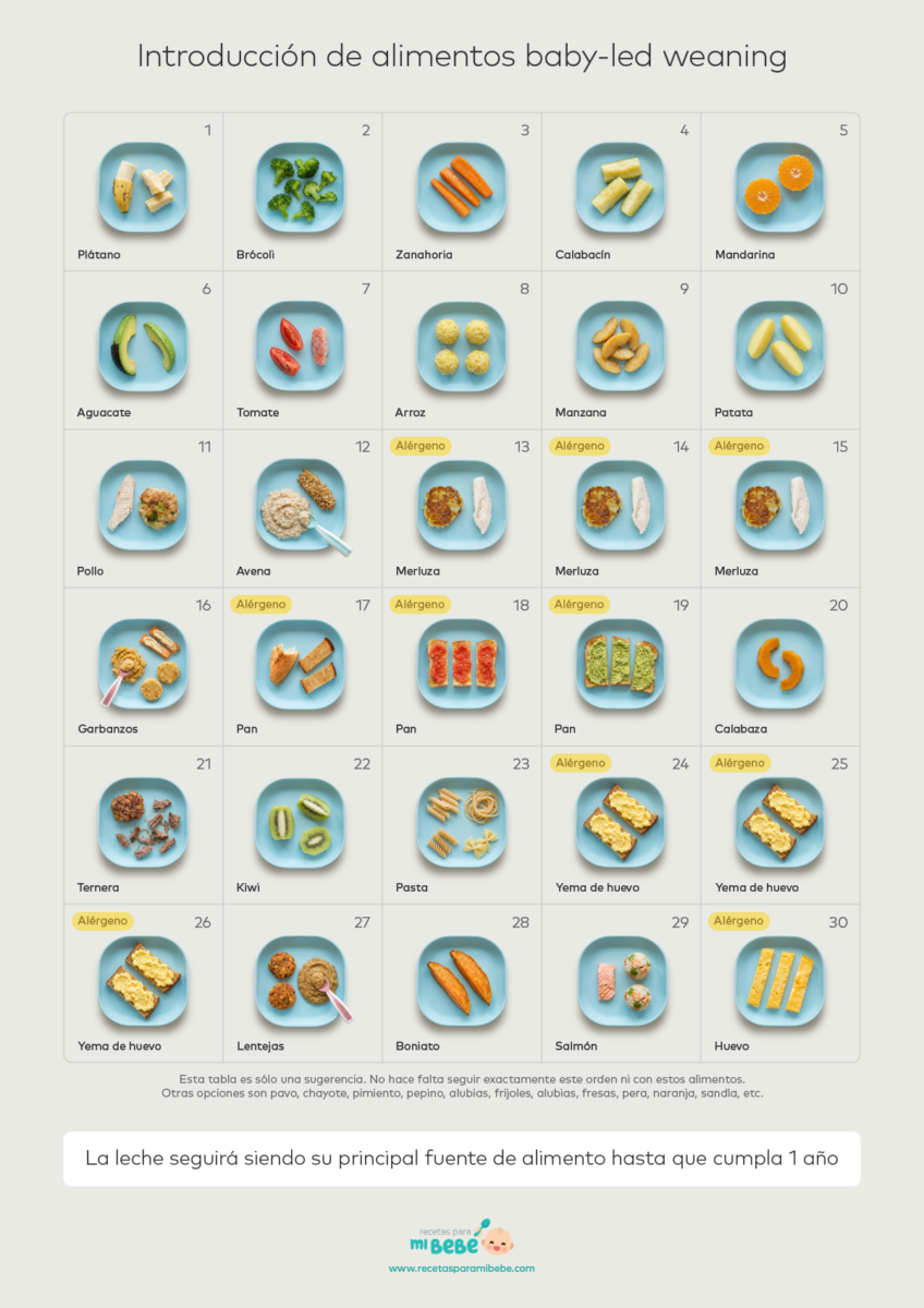 Poster introducción de alimentos con el método BLW - Formato A1