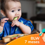 Menú BLW para bebés de 7 meses