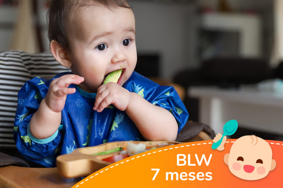 Menú BLW para bebés de 7 meses